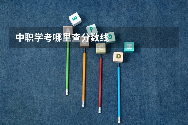 中职学考哪里查分数线