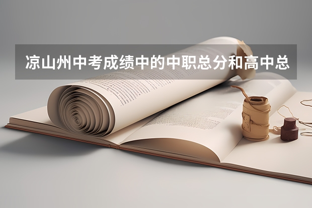 凉山州中考成绩中的中职总分和高中总分是什么意思?