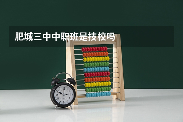 肥城三中中职班是技校吗