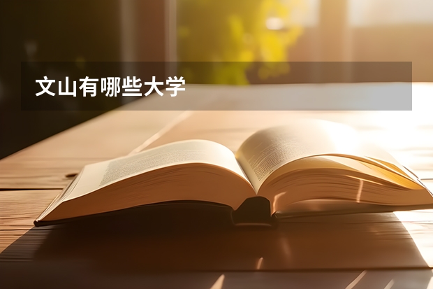 文山有哪些大学