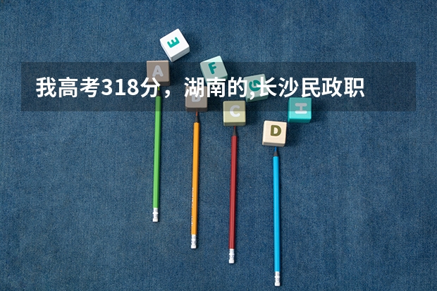 我高考318分,湖南的,长沙民政职业技术学院,能进吗