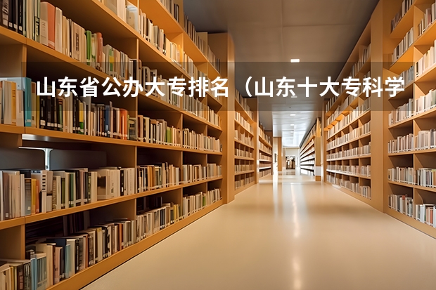 山东省公办大专排名(山东十大专科学校排名)
